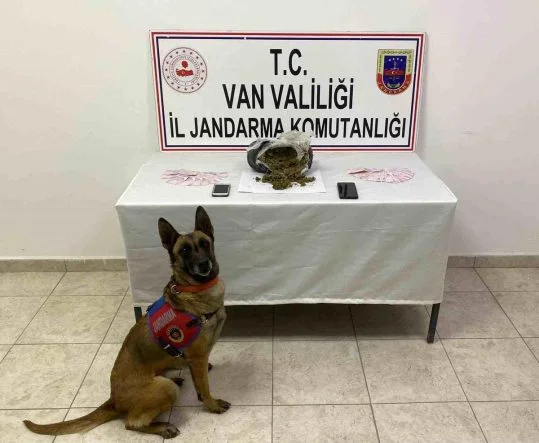 van-jandarmasindan-uyusturucuya-darbe-1-kilo-64-gram-skunk-6OsnzfK8.jpg