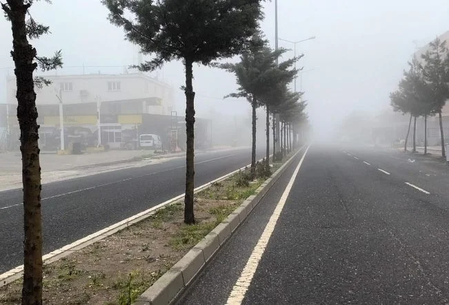 Diyarbakır’da sis etkili oldu