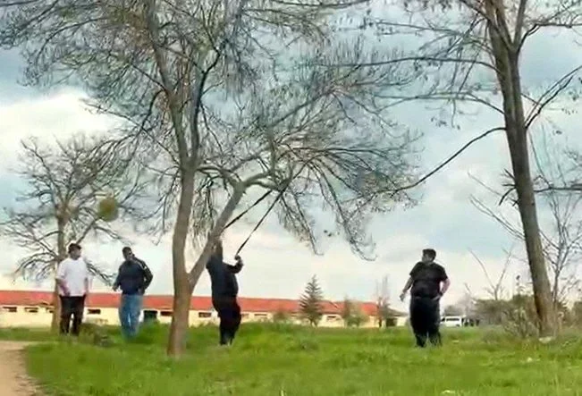 eskisehirde-mangal-icin-agac-dalini-kirmaya-calistilar-iddiasi-CqtsAe7V.jpg