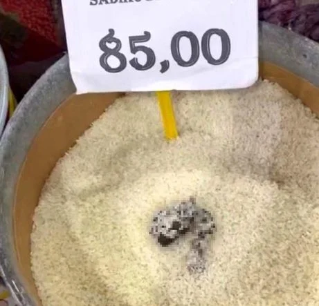 mersinde-skandal-goruntu-pirincten-kedi-diskisi-cikan-markete-ceza-qXfD9g5Z.jpg