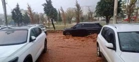 silvani-sel-vurdu-GMcZQkH6.jpg