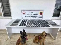 sirnakta-jandarmadan-asayis-kacakcilik-ve-narkotik-operasyonu-byC5hvbG.jpg